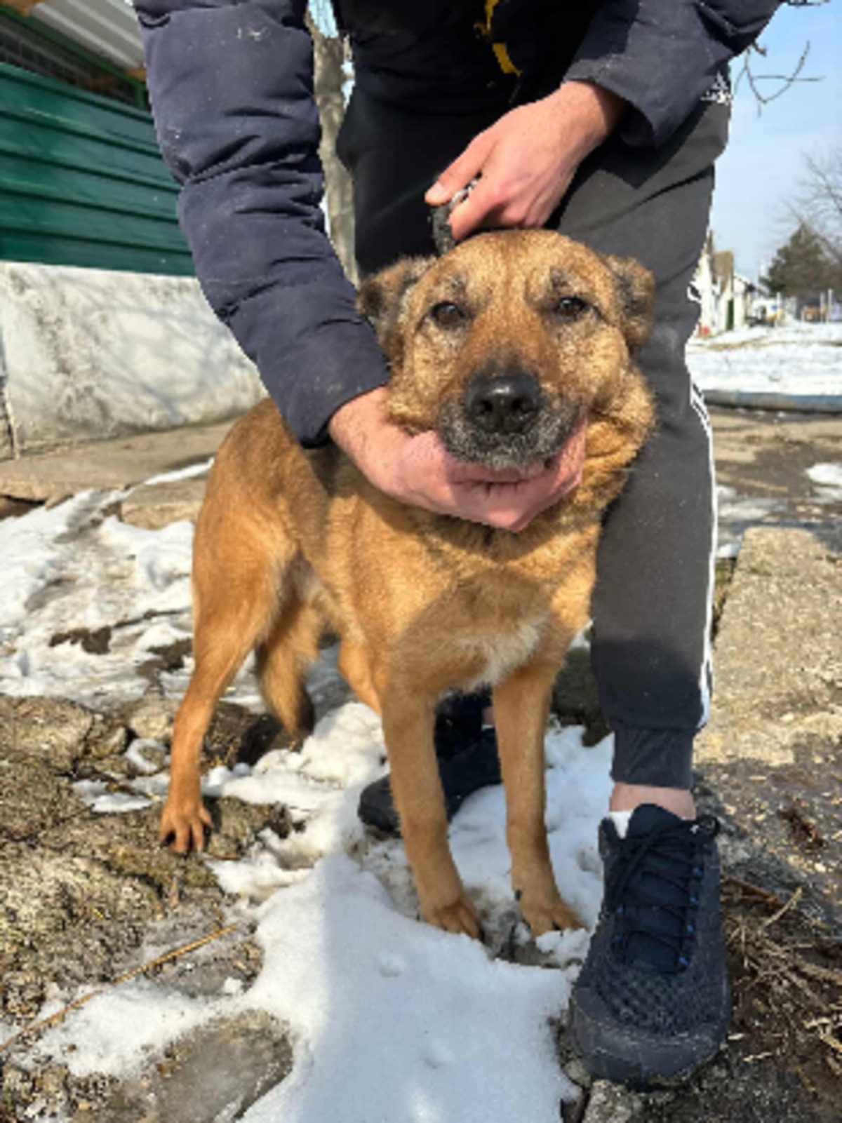 Adoption Taya