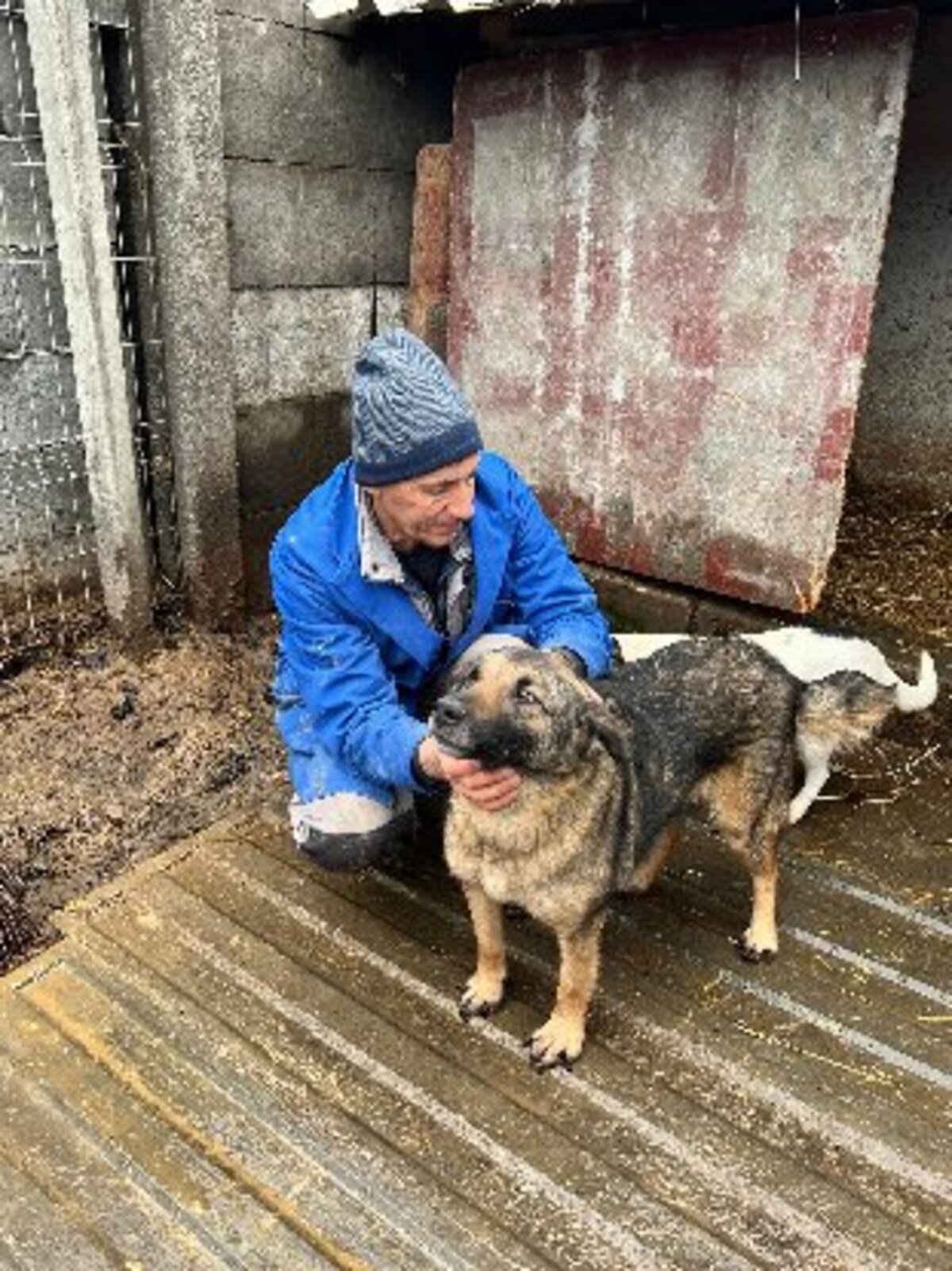 Adoption Texas