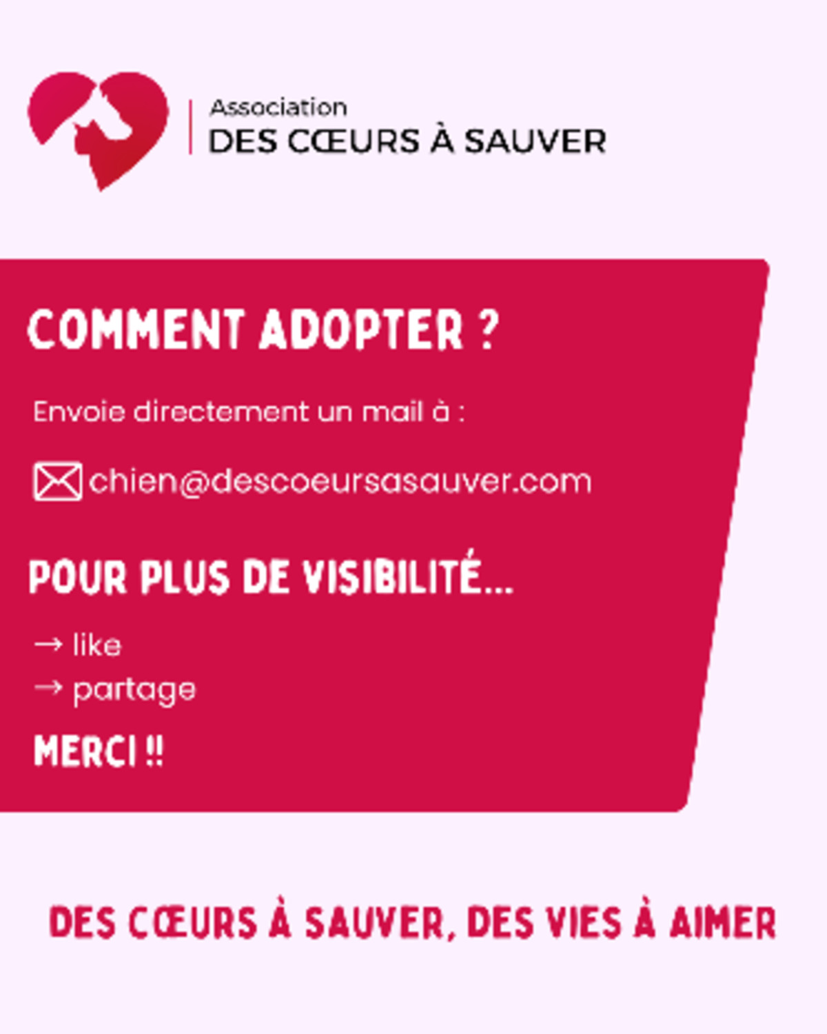 Adoption Thorus