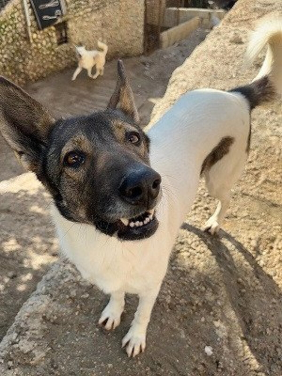 Adoption Tina