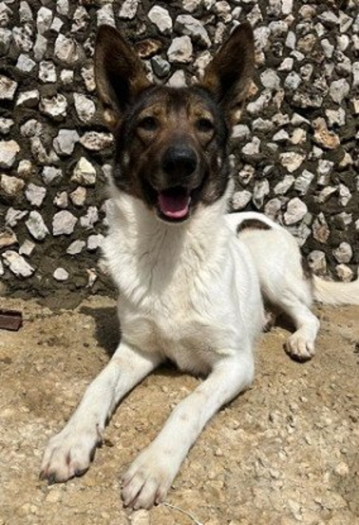 Adoption Tina