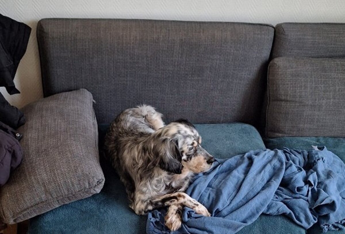 Adoption Tina