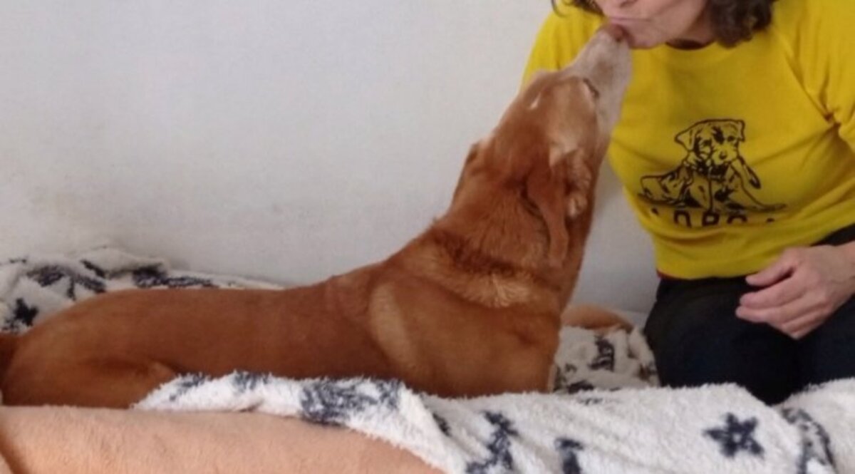 Adoption Toni