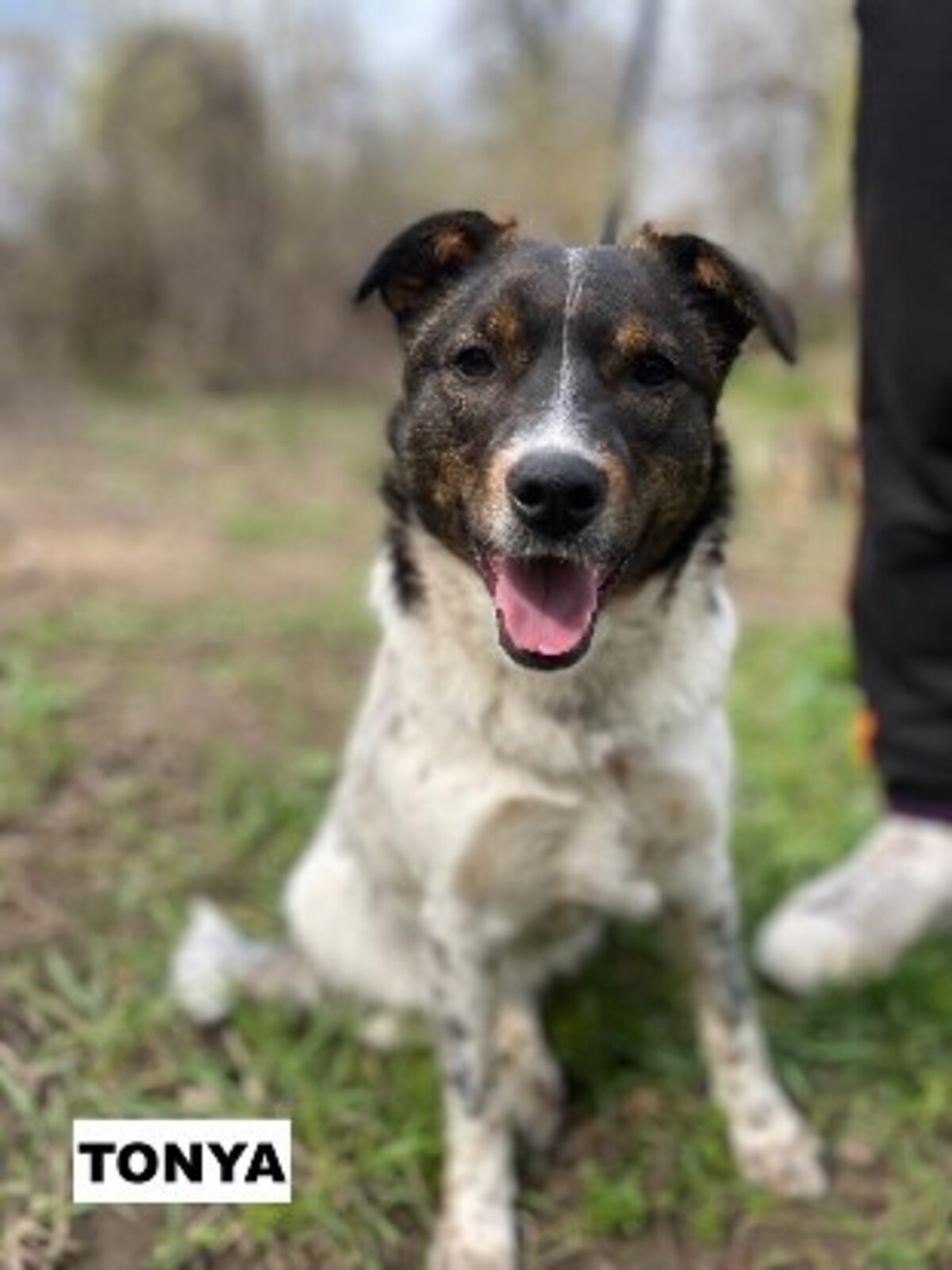 Adoption Tonya