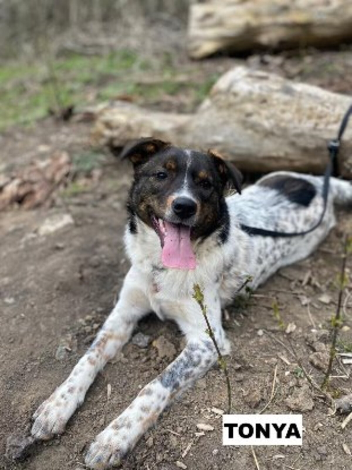 Adoption Tonya
