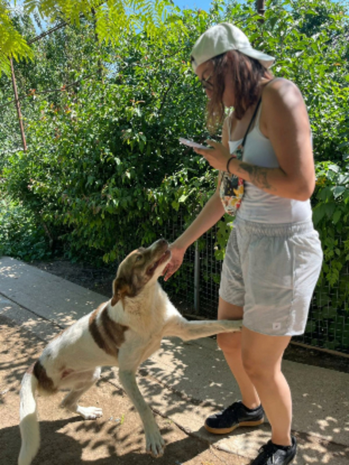 Adoption Tosca