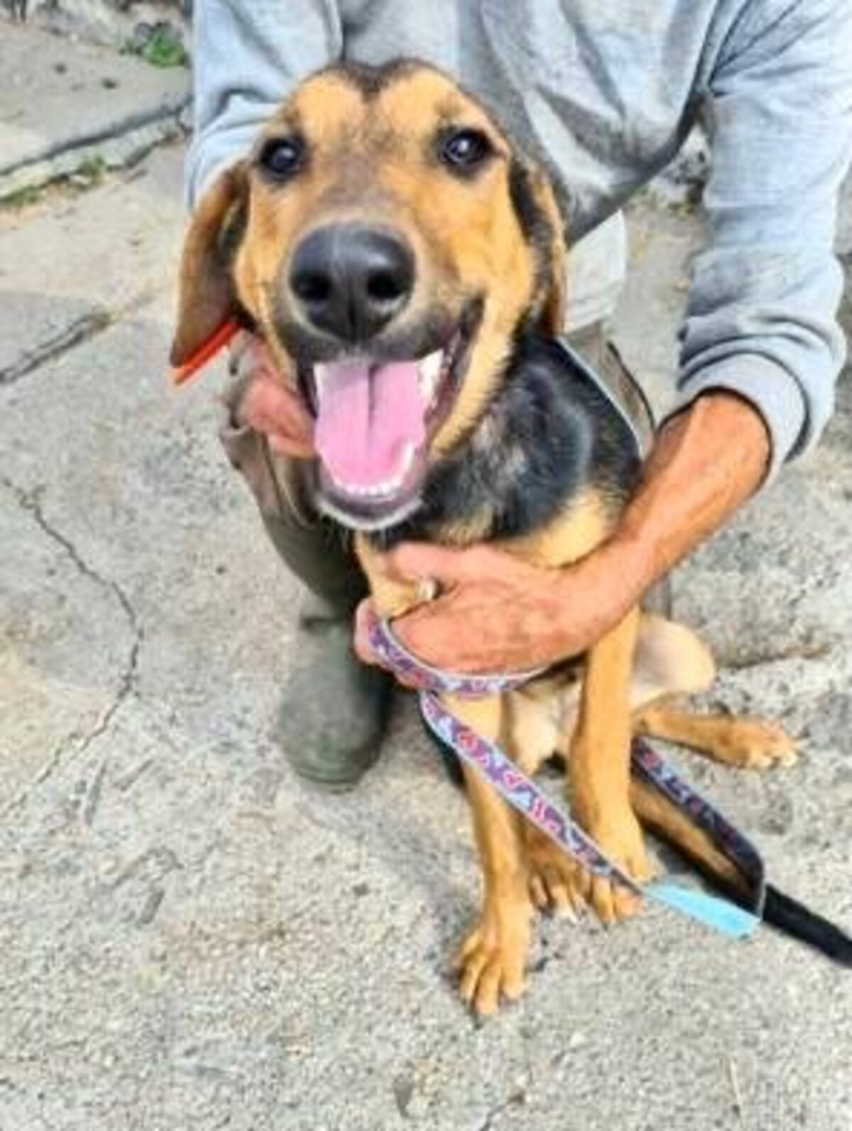 Adoption Toula