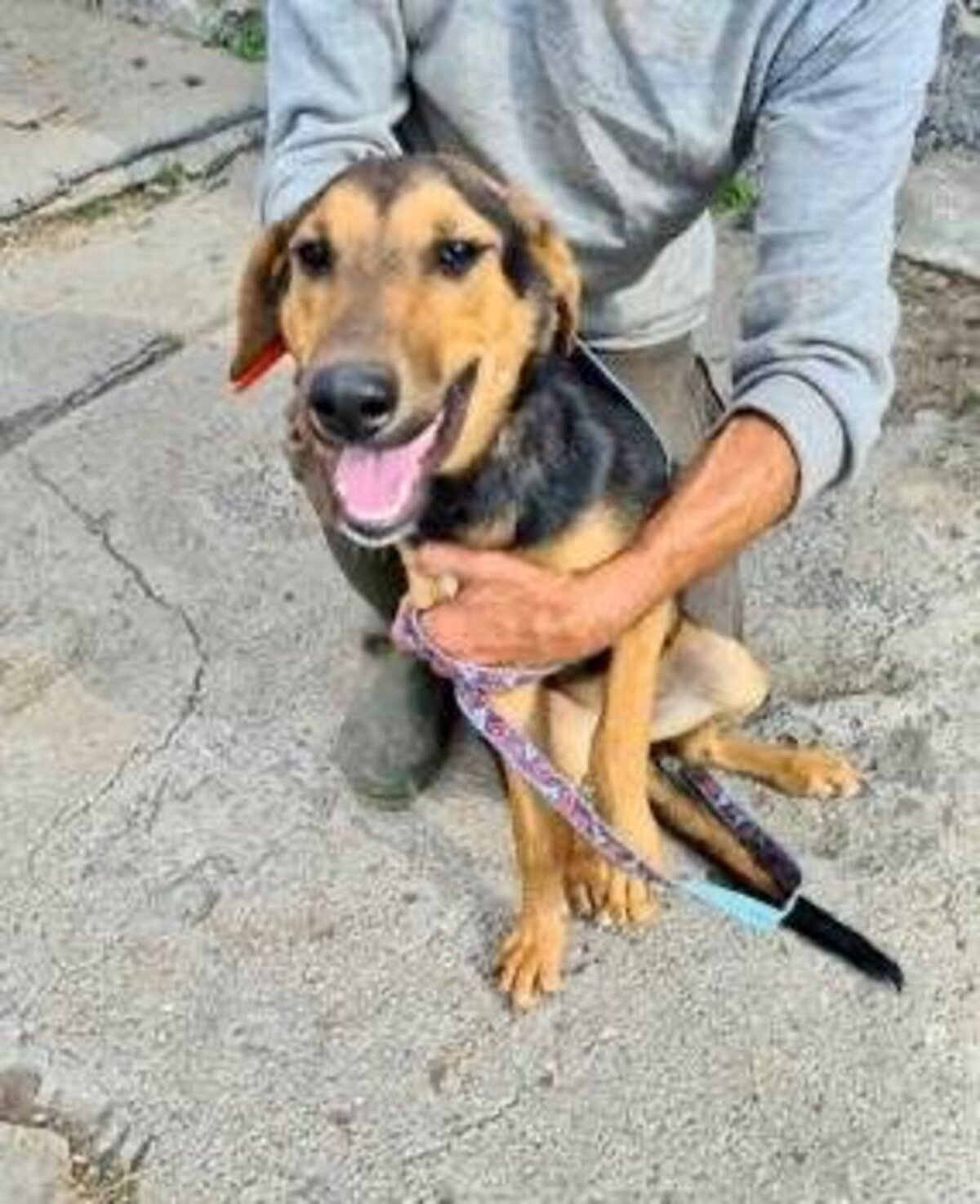 Adoption Toula