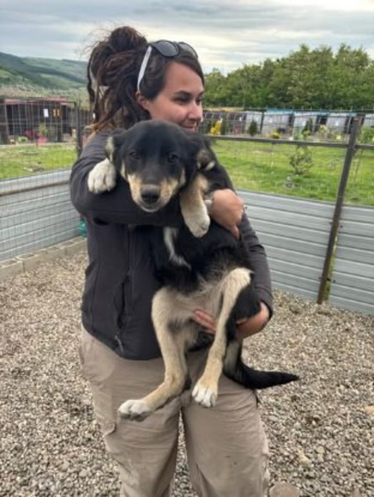 Adoption Trixie