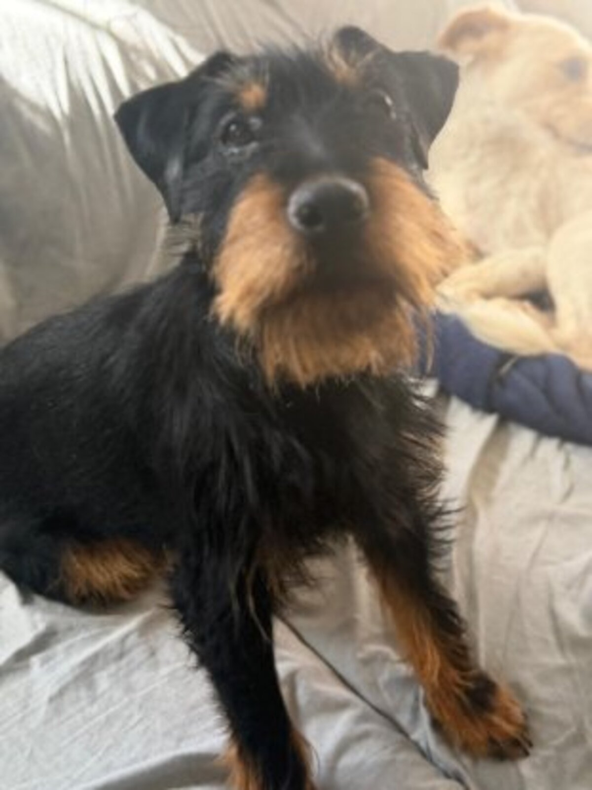 Adoption Valeria