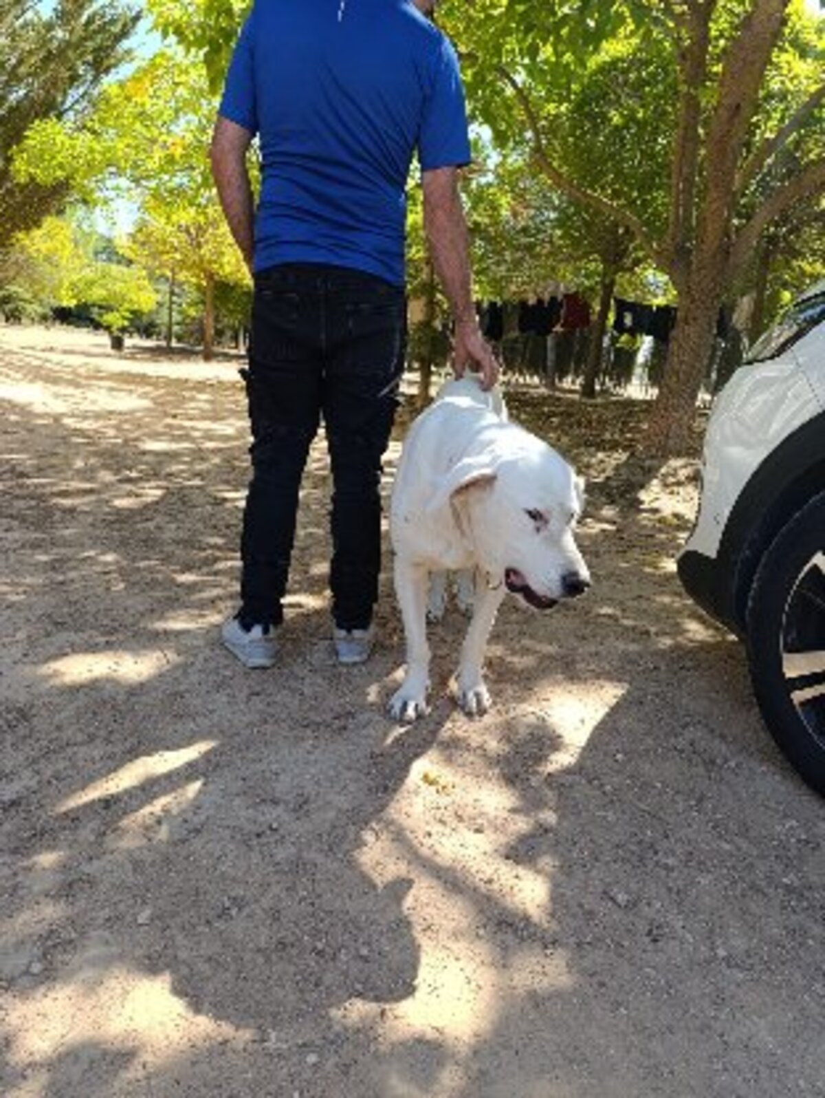 Adoption Vida