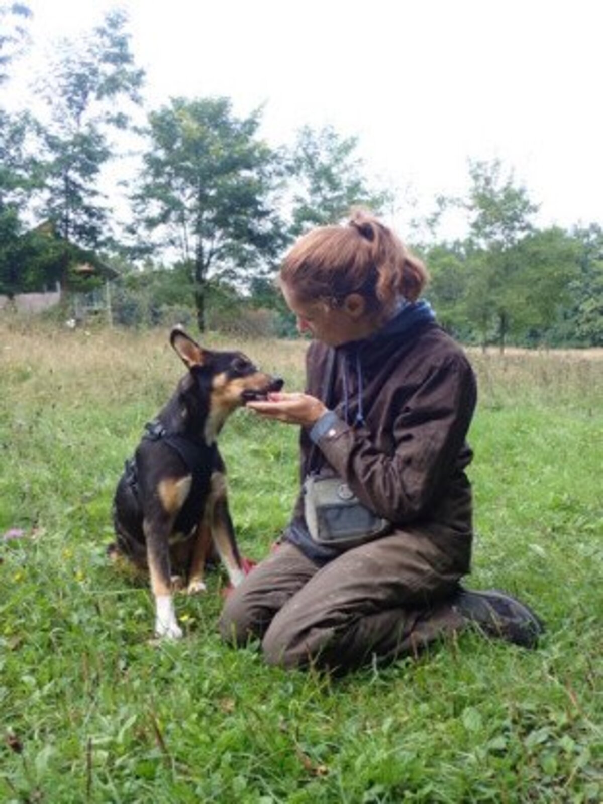 Adoption Vito
