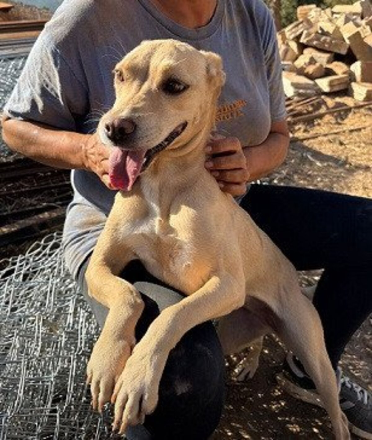 Adoption Wendy