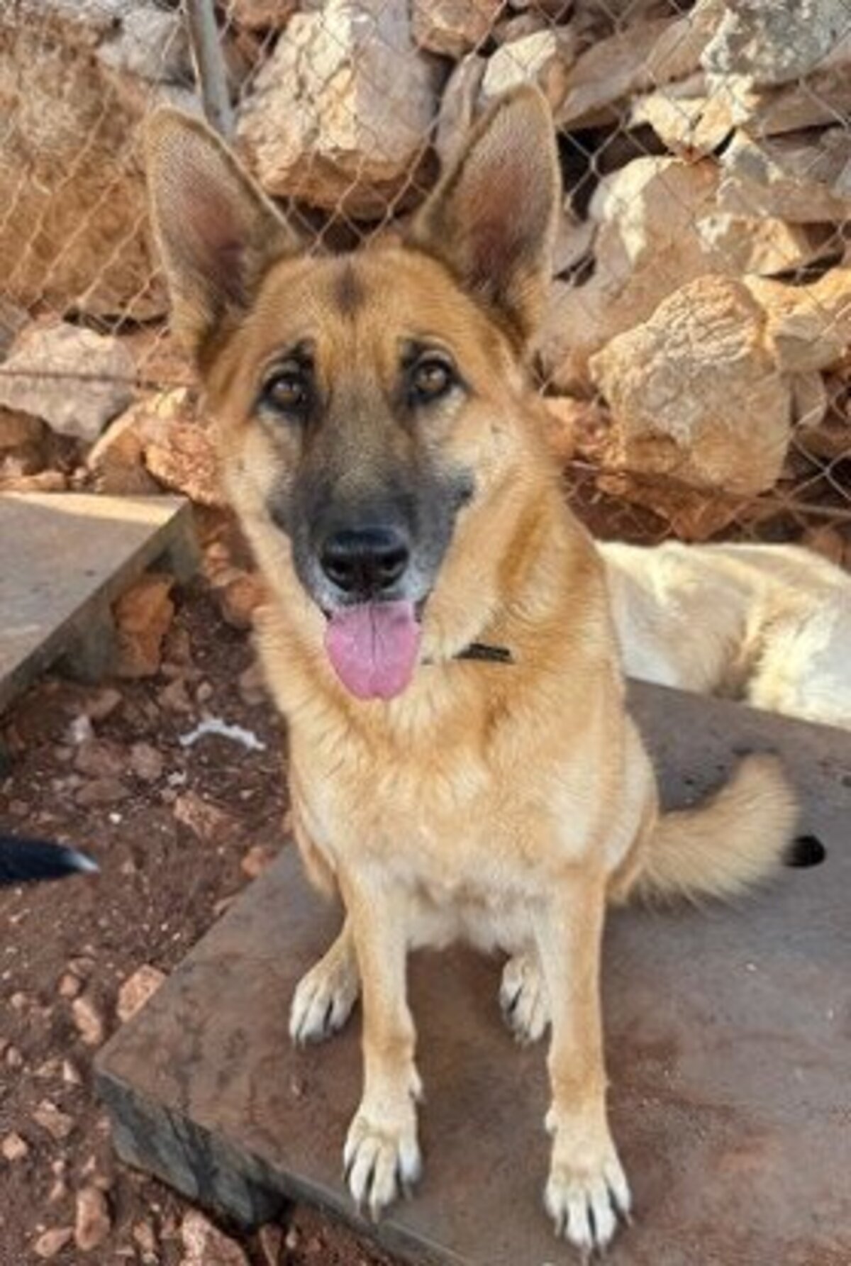 Adoption Whoopi