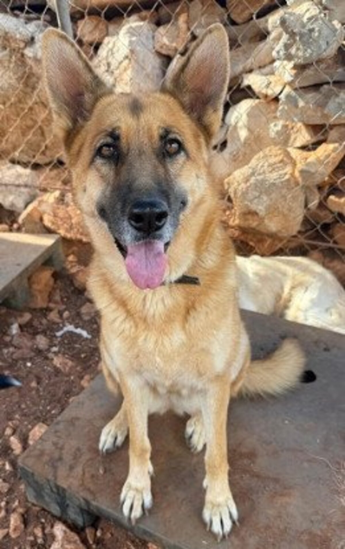 Adoption Whoopi