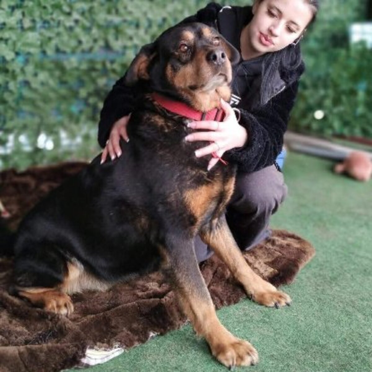 Adoption Yuna