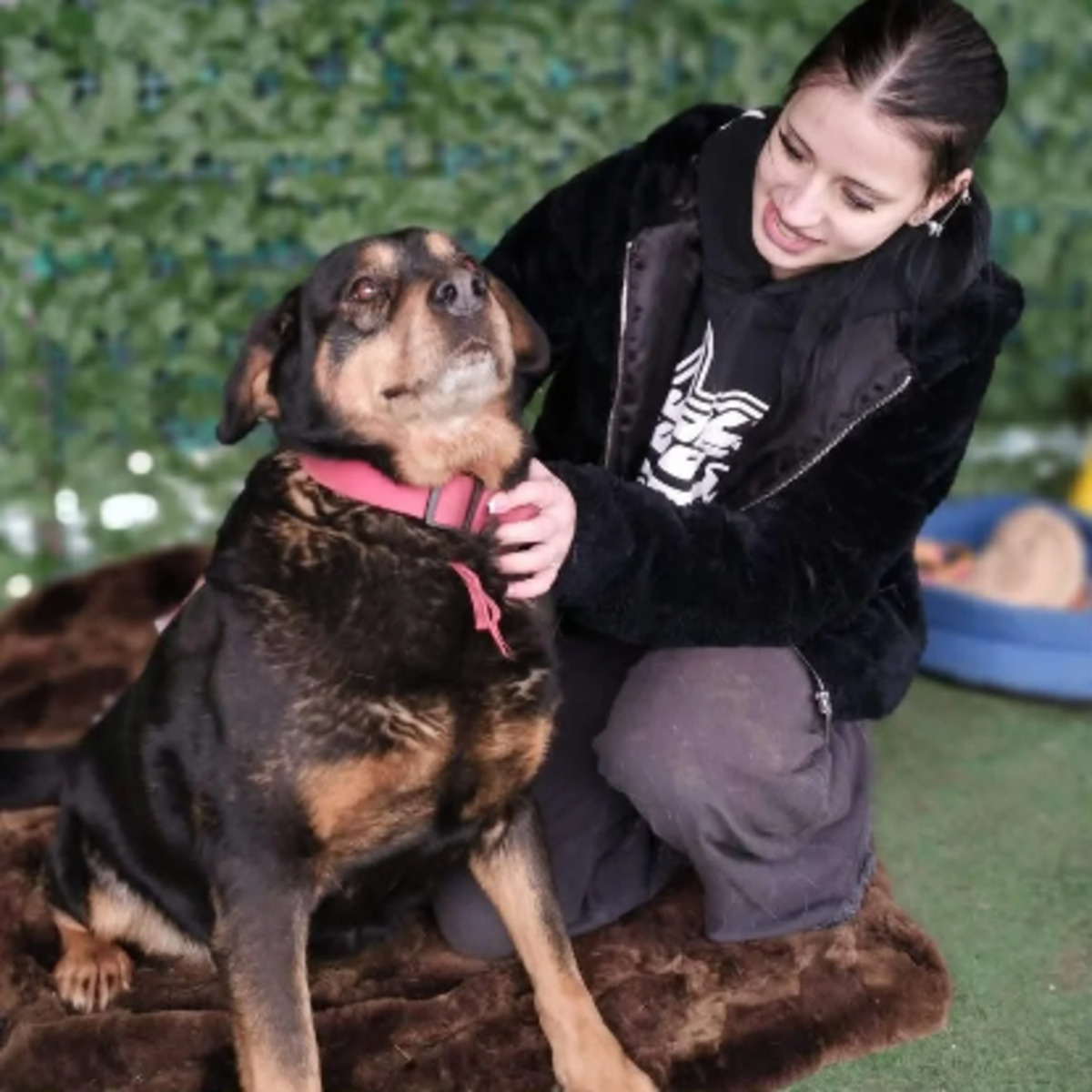Adoption Yuna