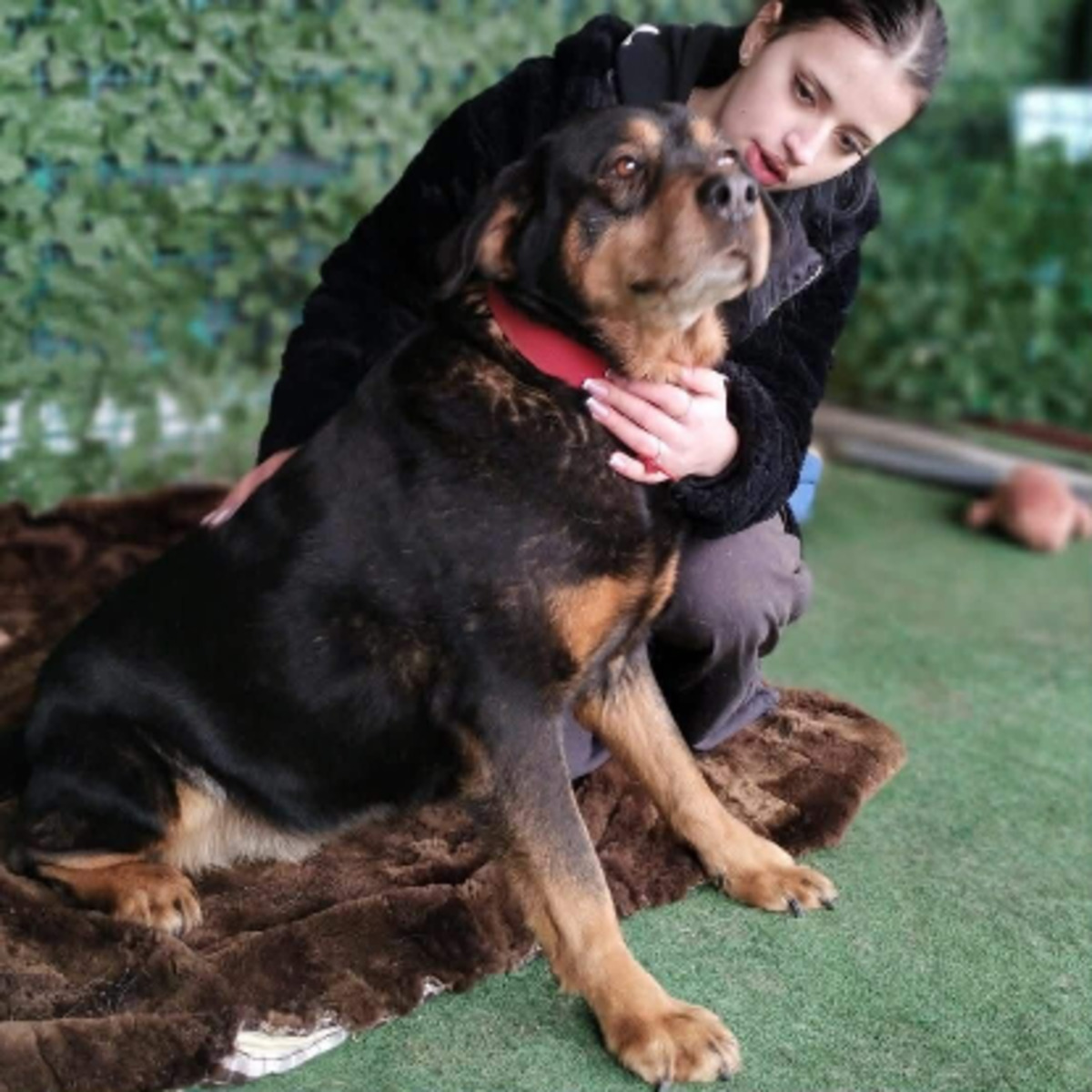 Adoption Yuna