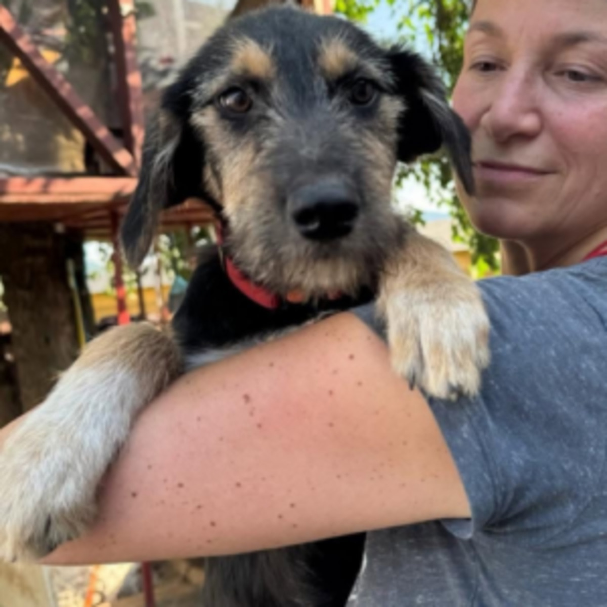 Adoption Zara