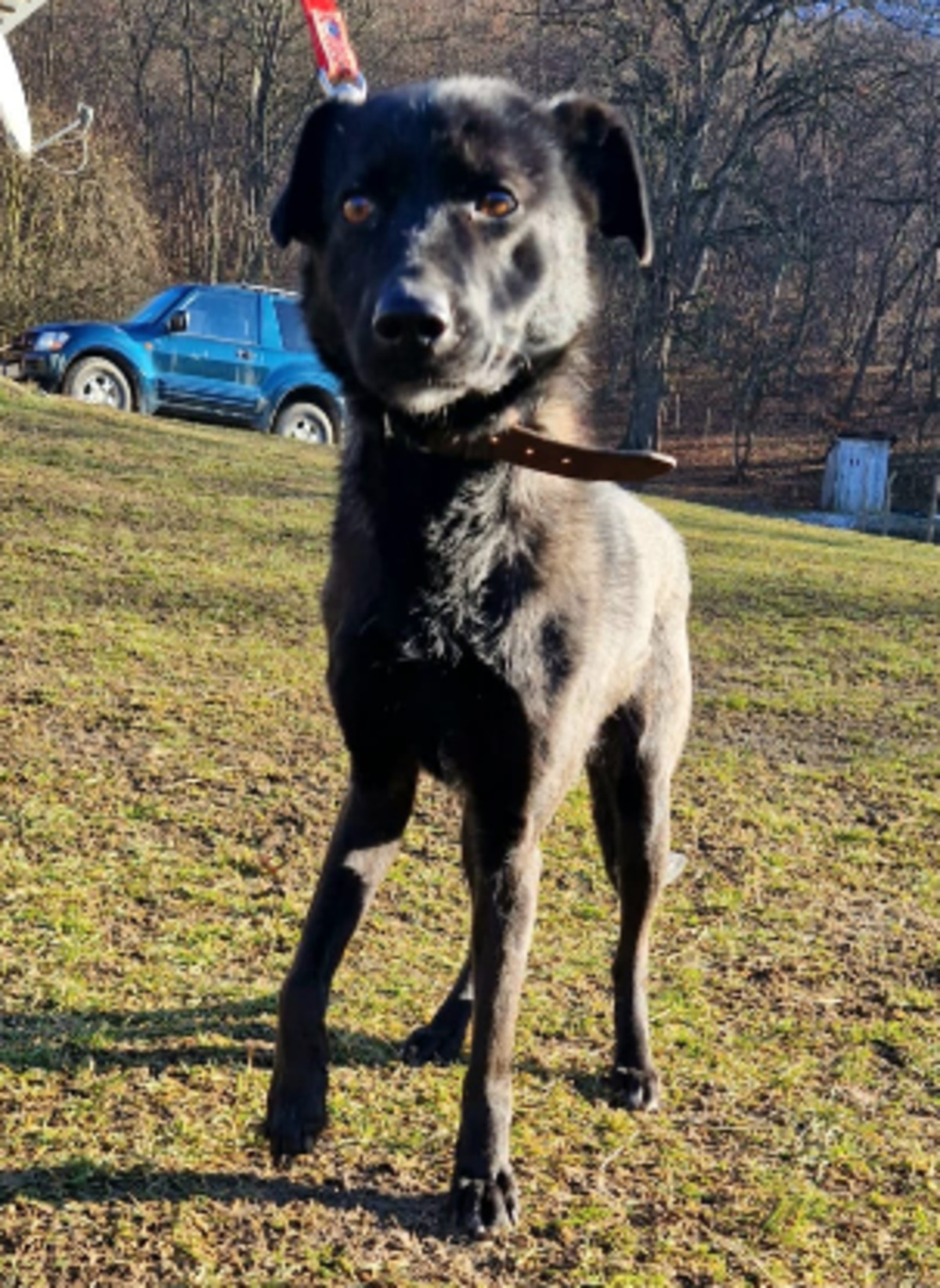 Adoption Zaya