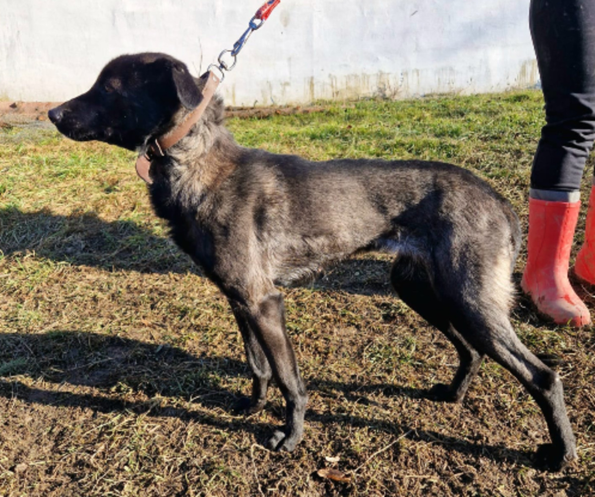 Adoption Zaya