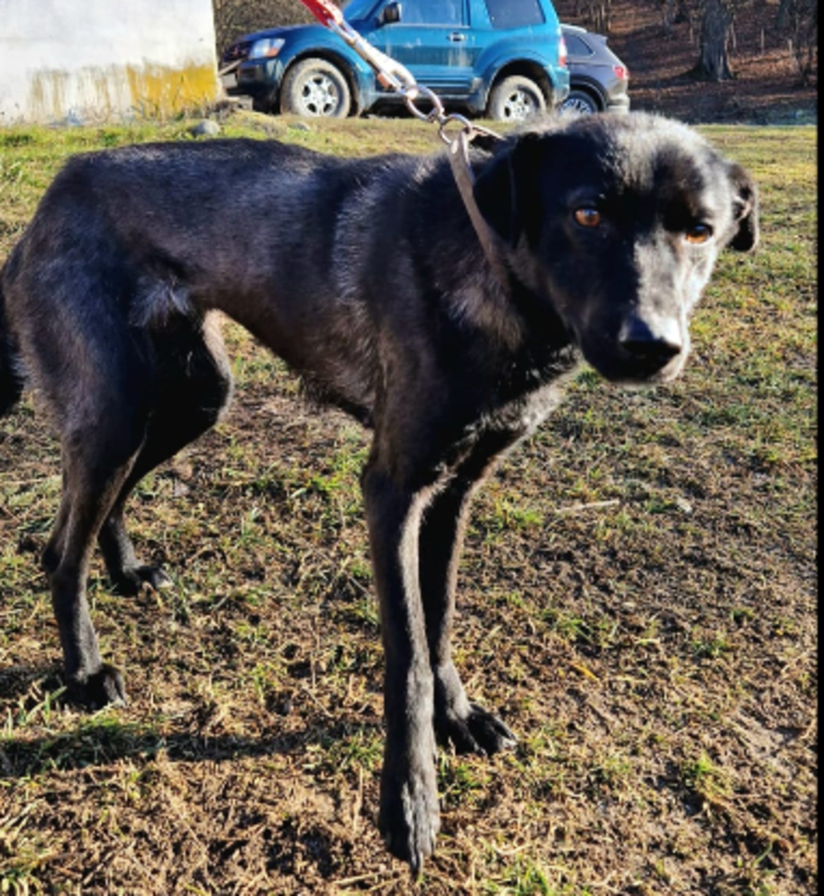 Adoption Zaya