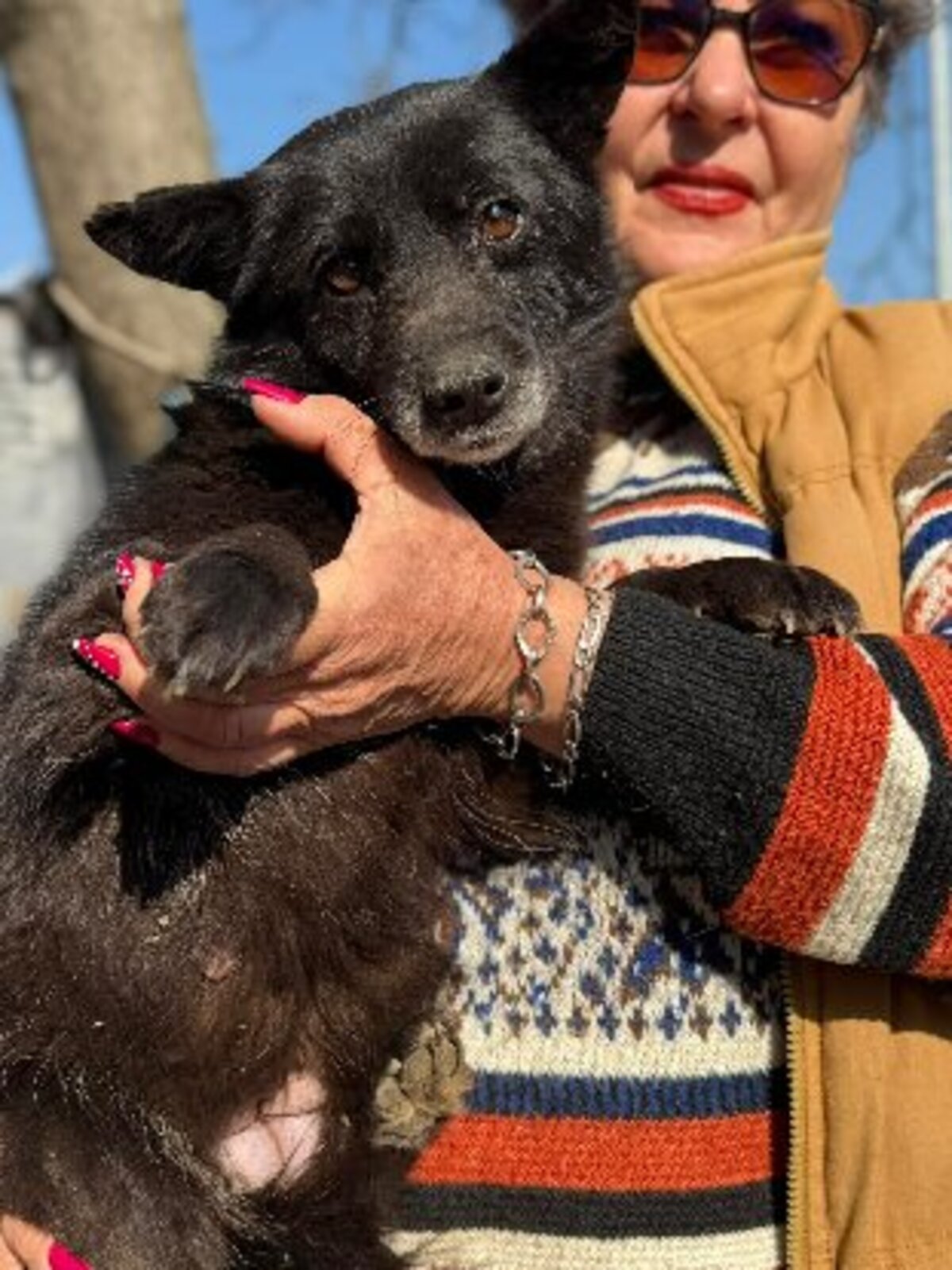 Adoption Zelda