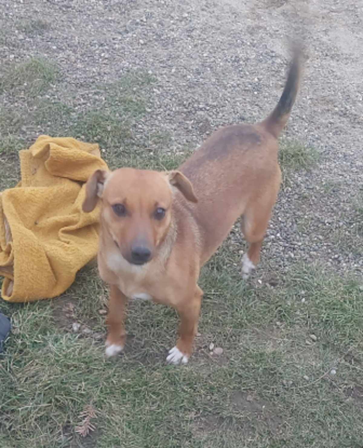 Adoption Zeyna