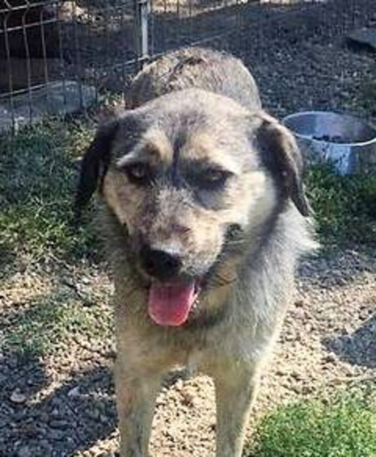 Adoption Zina