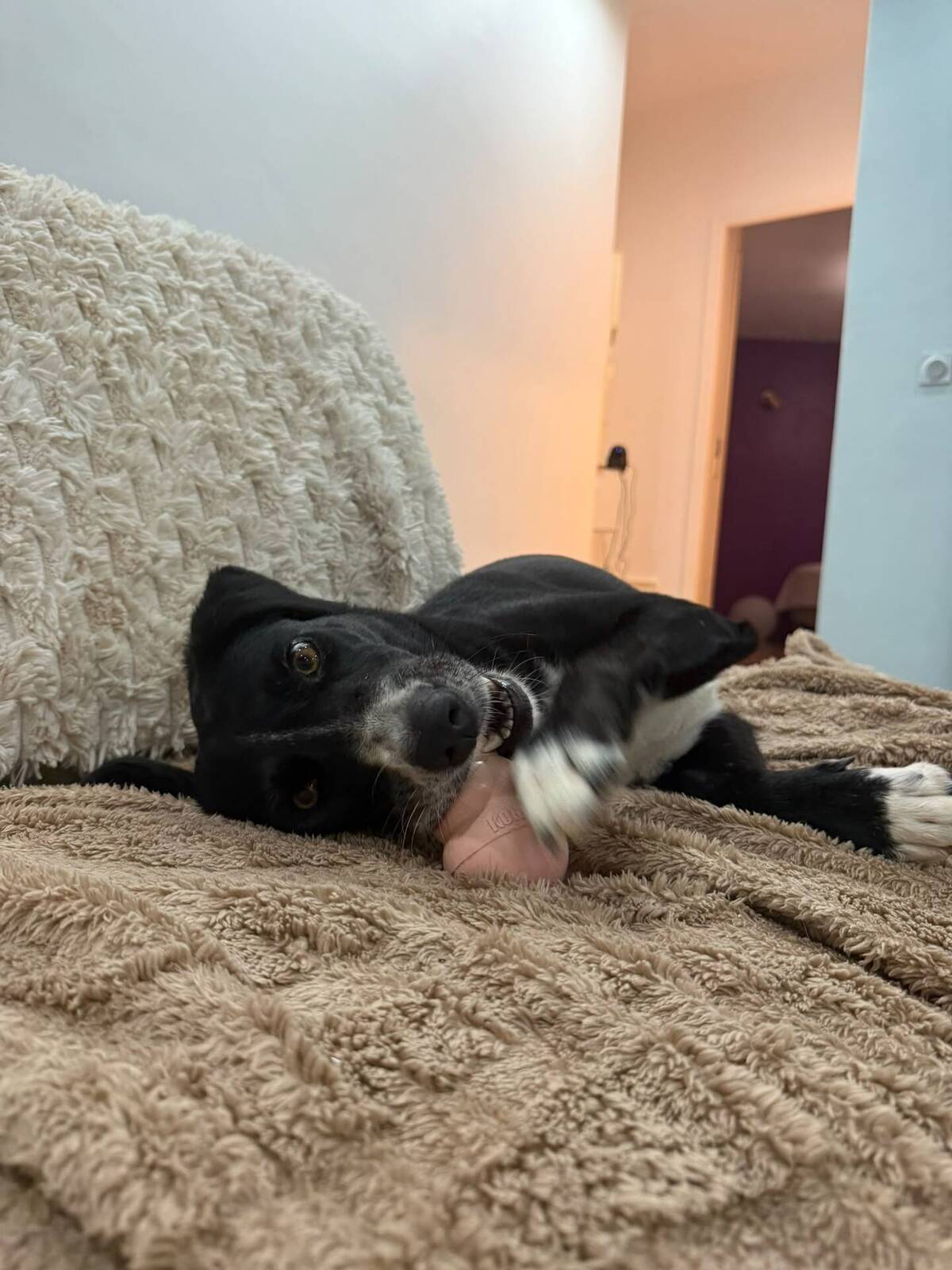 Adoption tiana