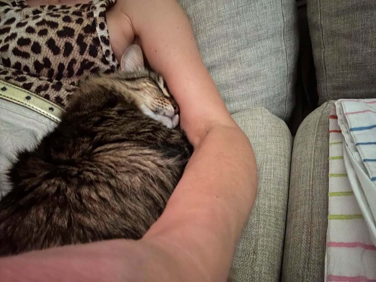 Adoption Sally