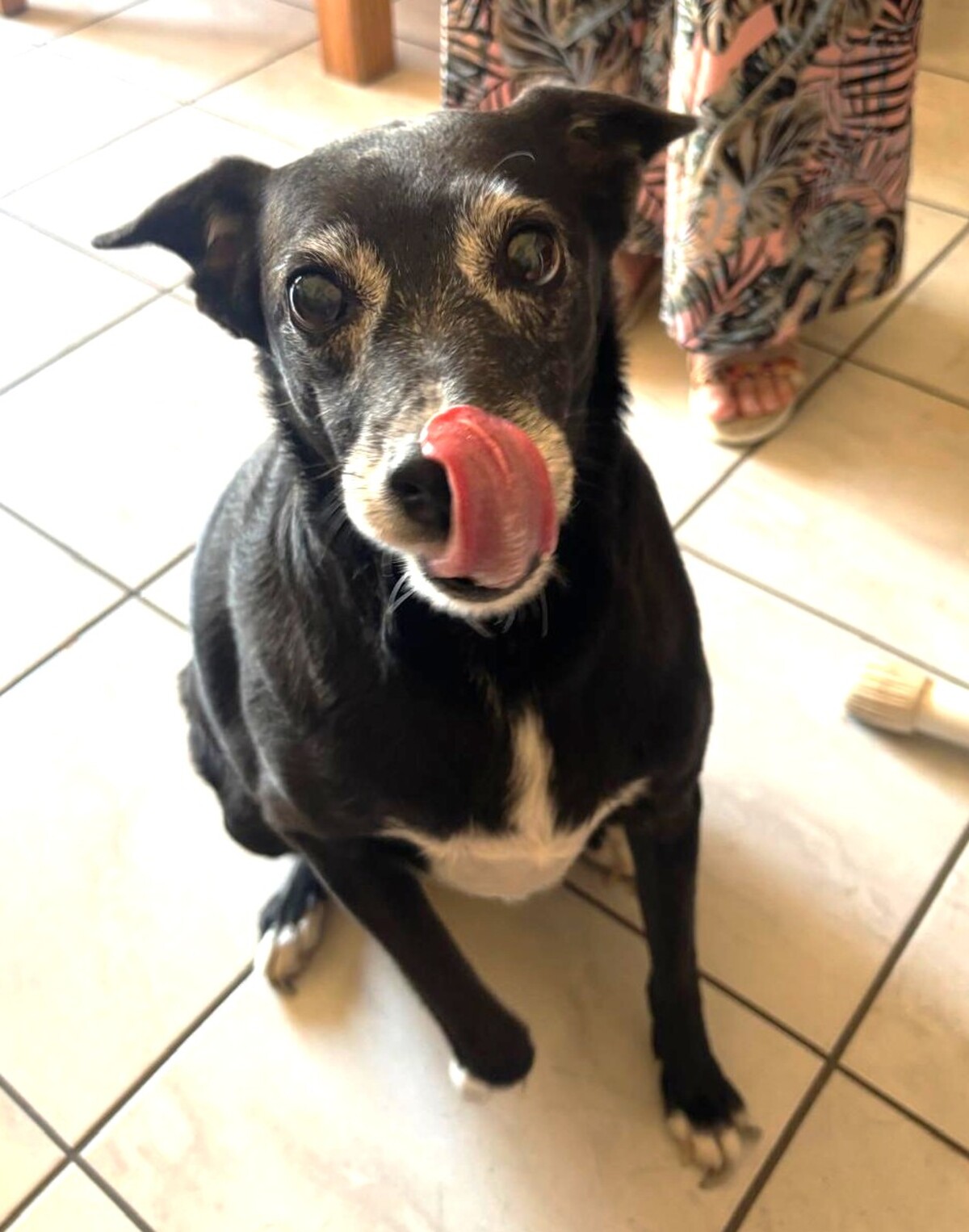 Adoption Maya