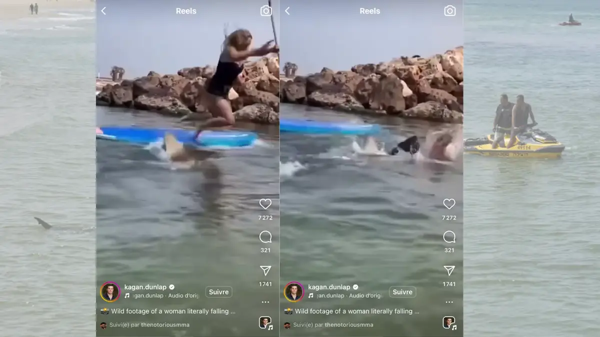 requin, Hadera, touriste
