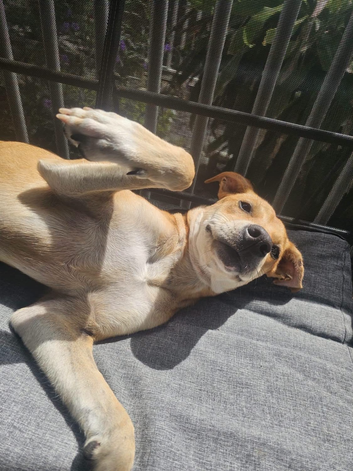 Adoption Yuna