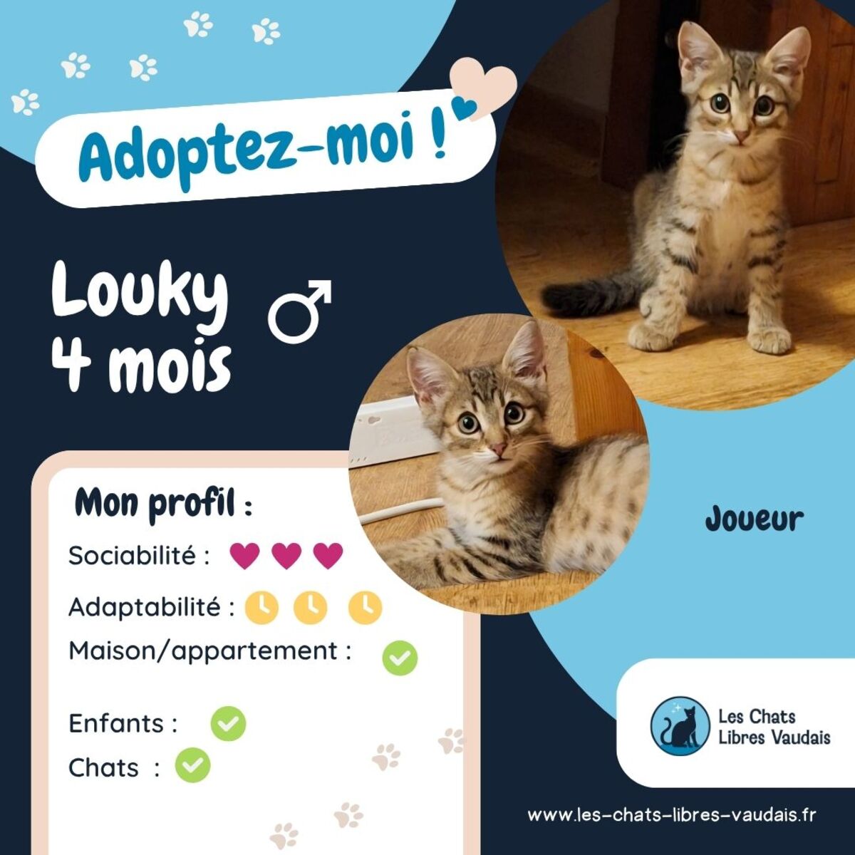 Adoption Louky