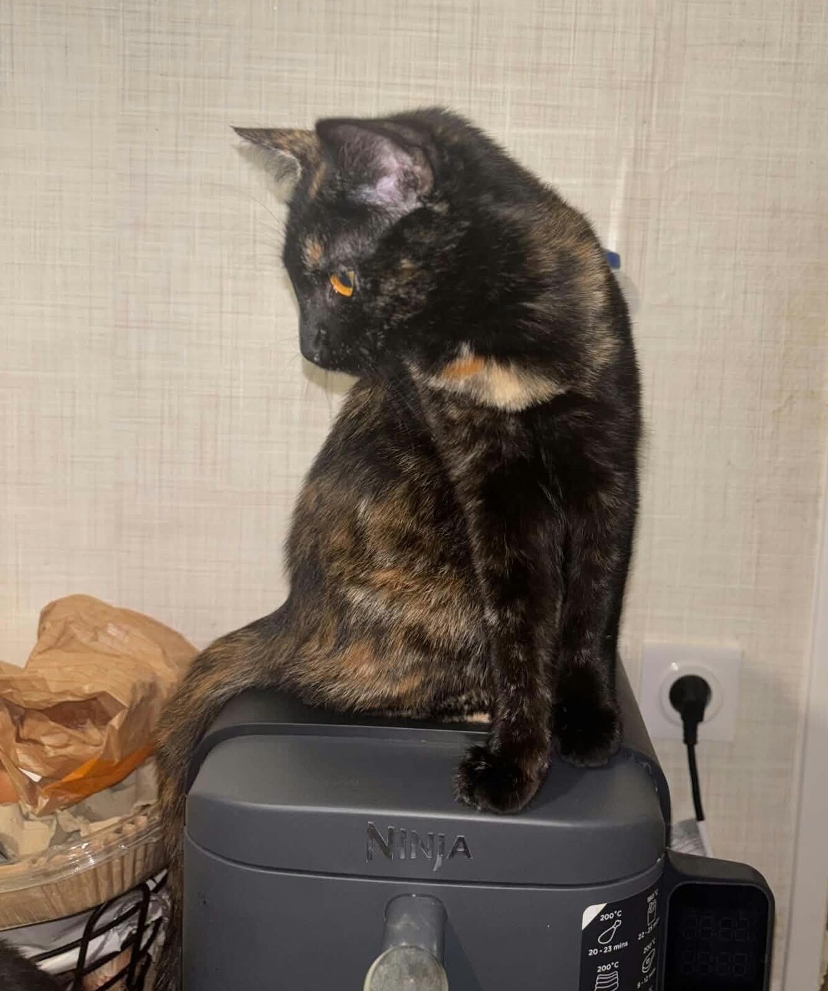Adoption Beauté