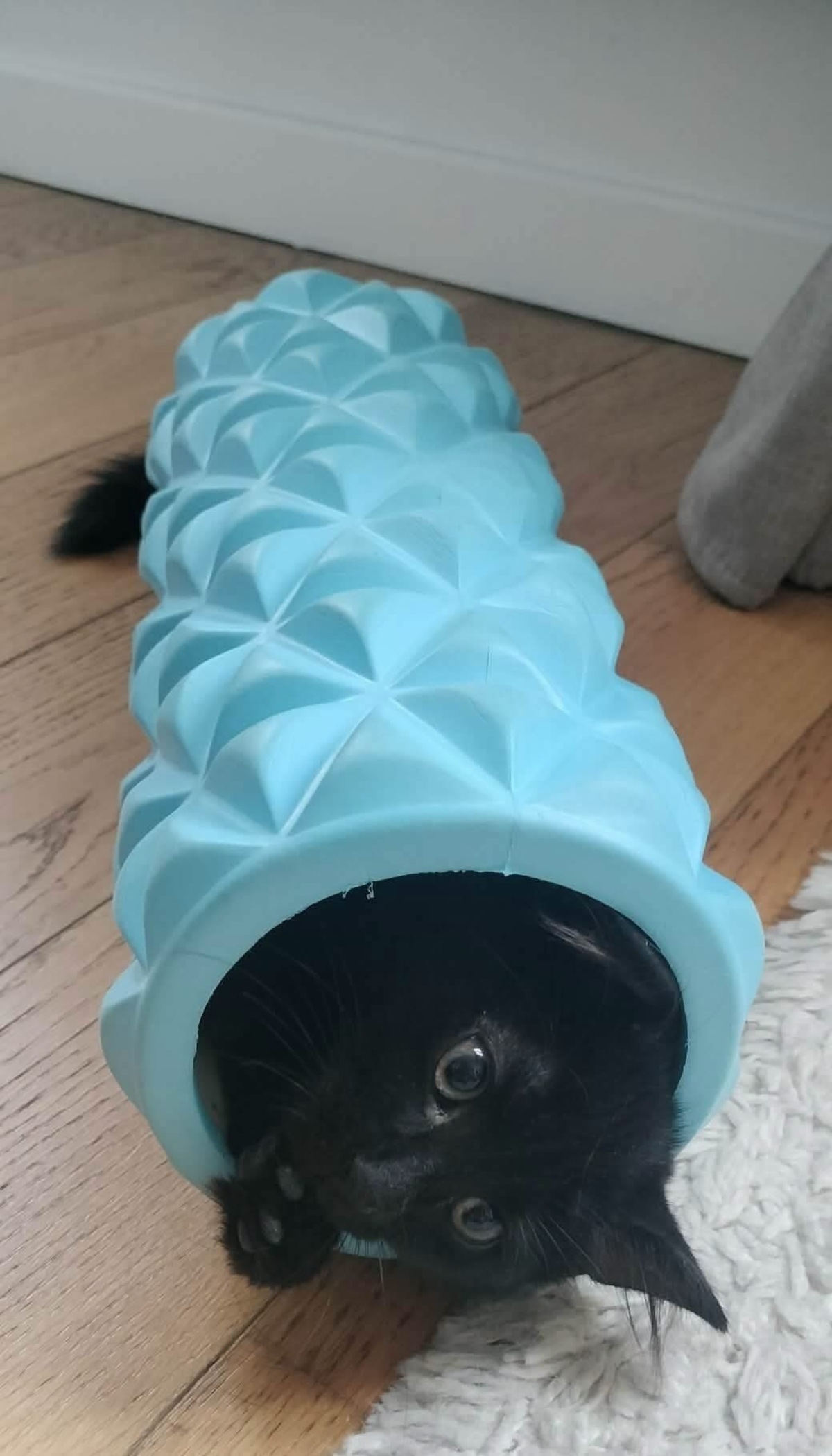 Adoption COMBINE 
