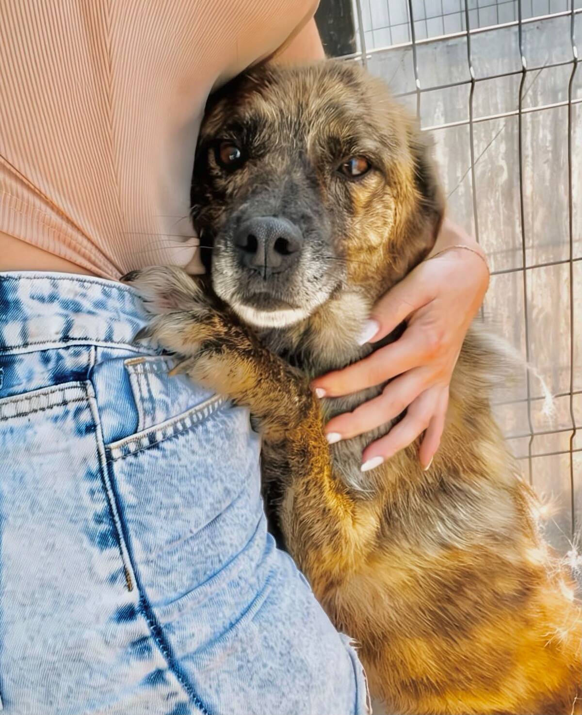 Adoption Flavio