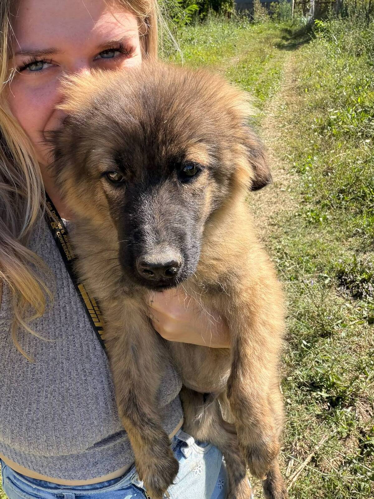 Adoption Micky