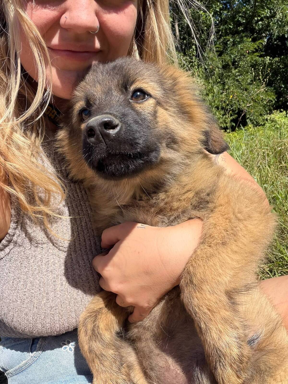 Adoption Micky