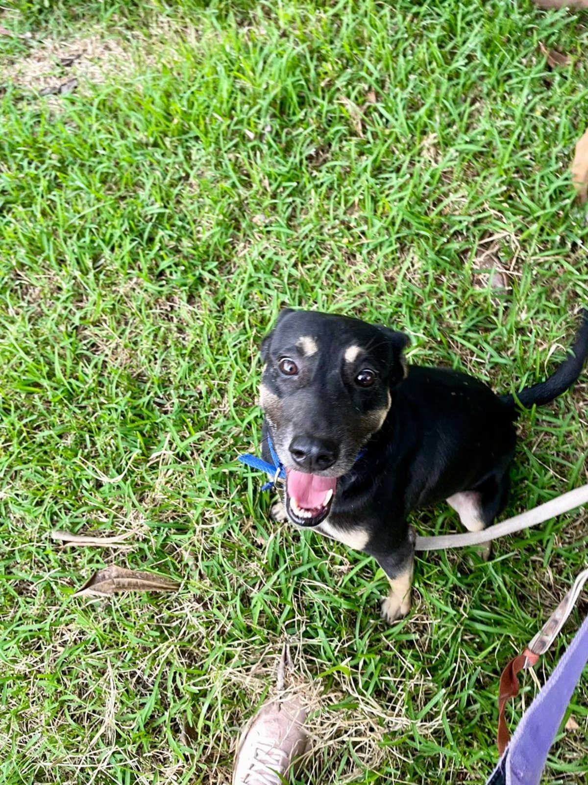 Adoption SIKI
