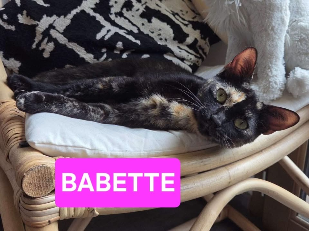 Adoption Babette