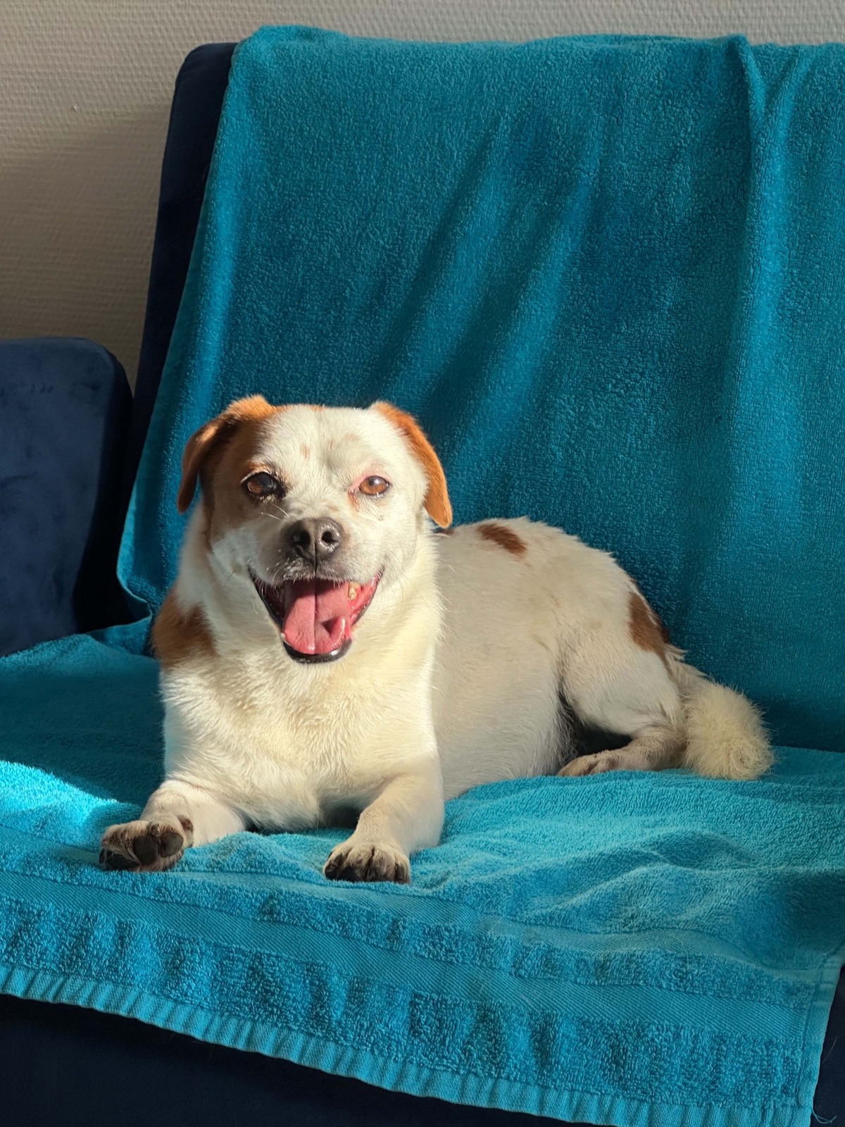 Adoption chayton