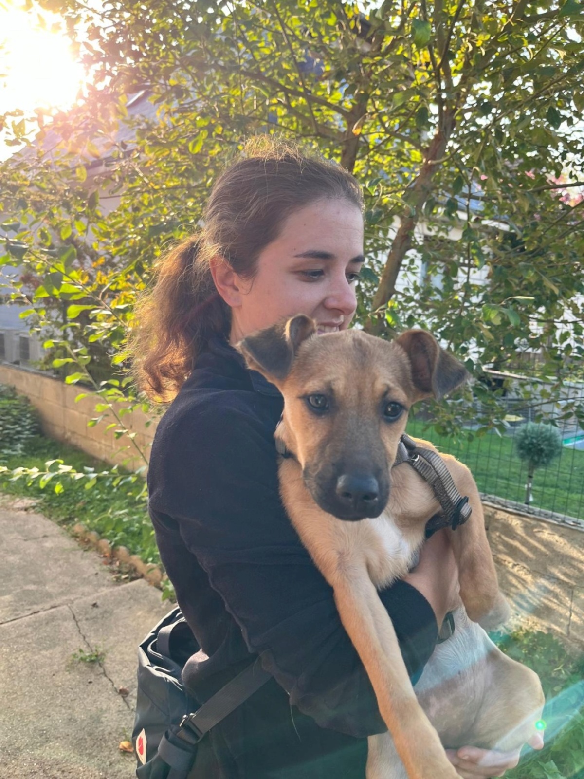 Adoption Aska
