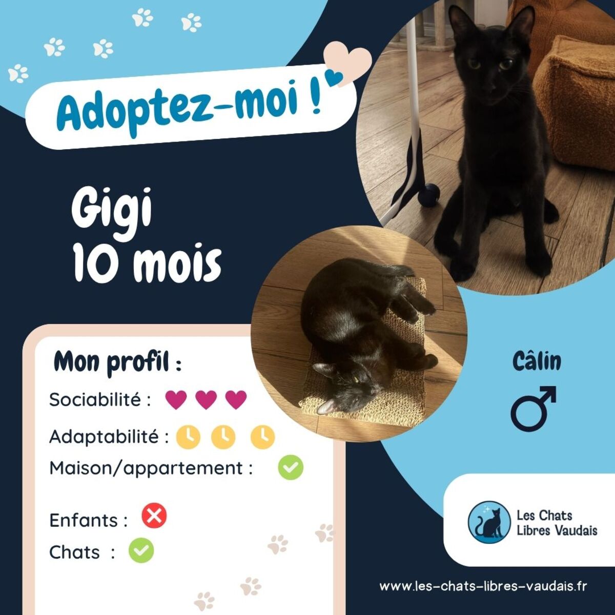 Adoption Gigi