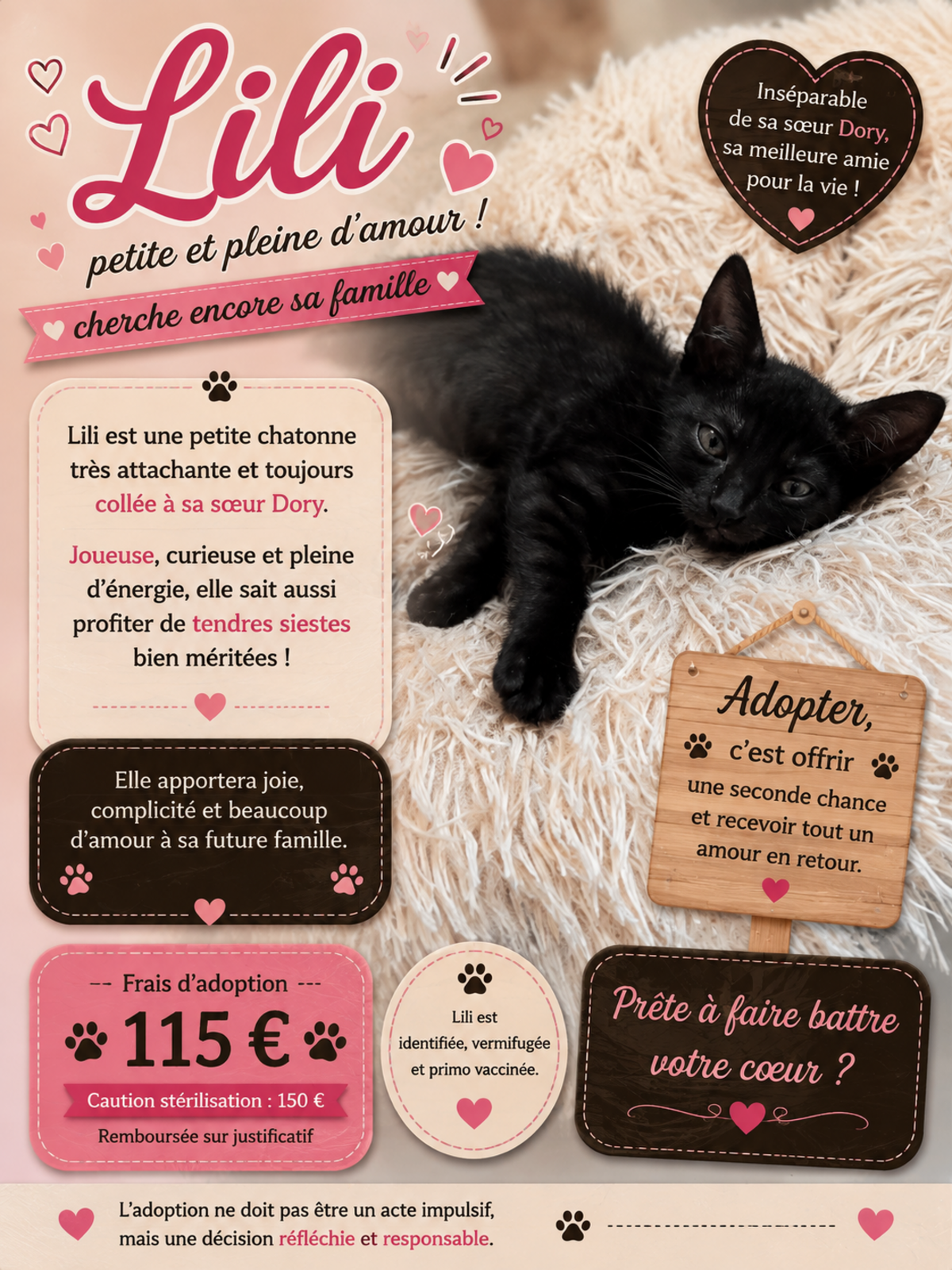 Adoption LILI
