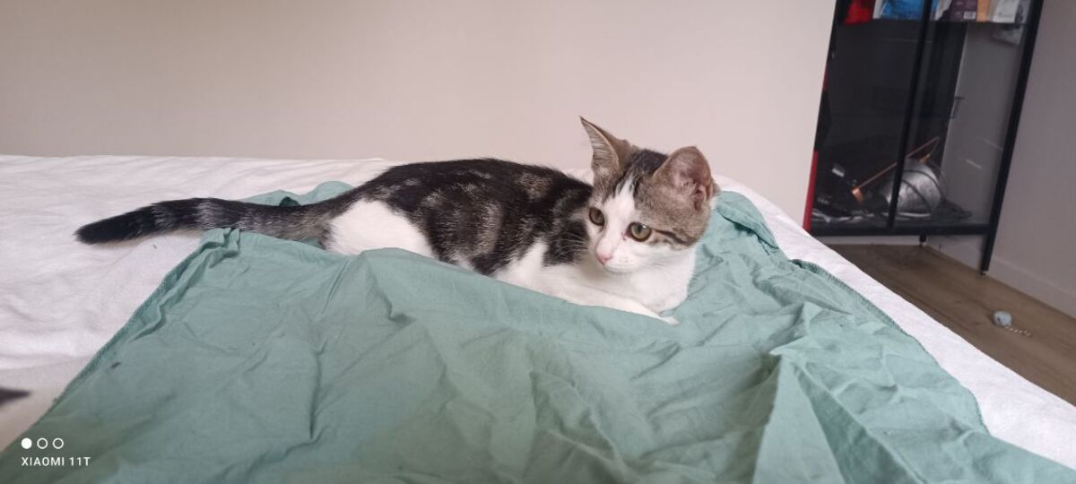 Adoption Béni