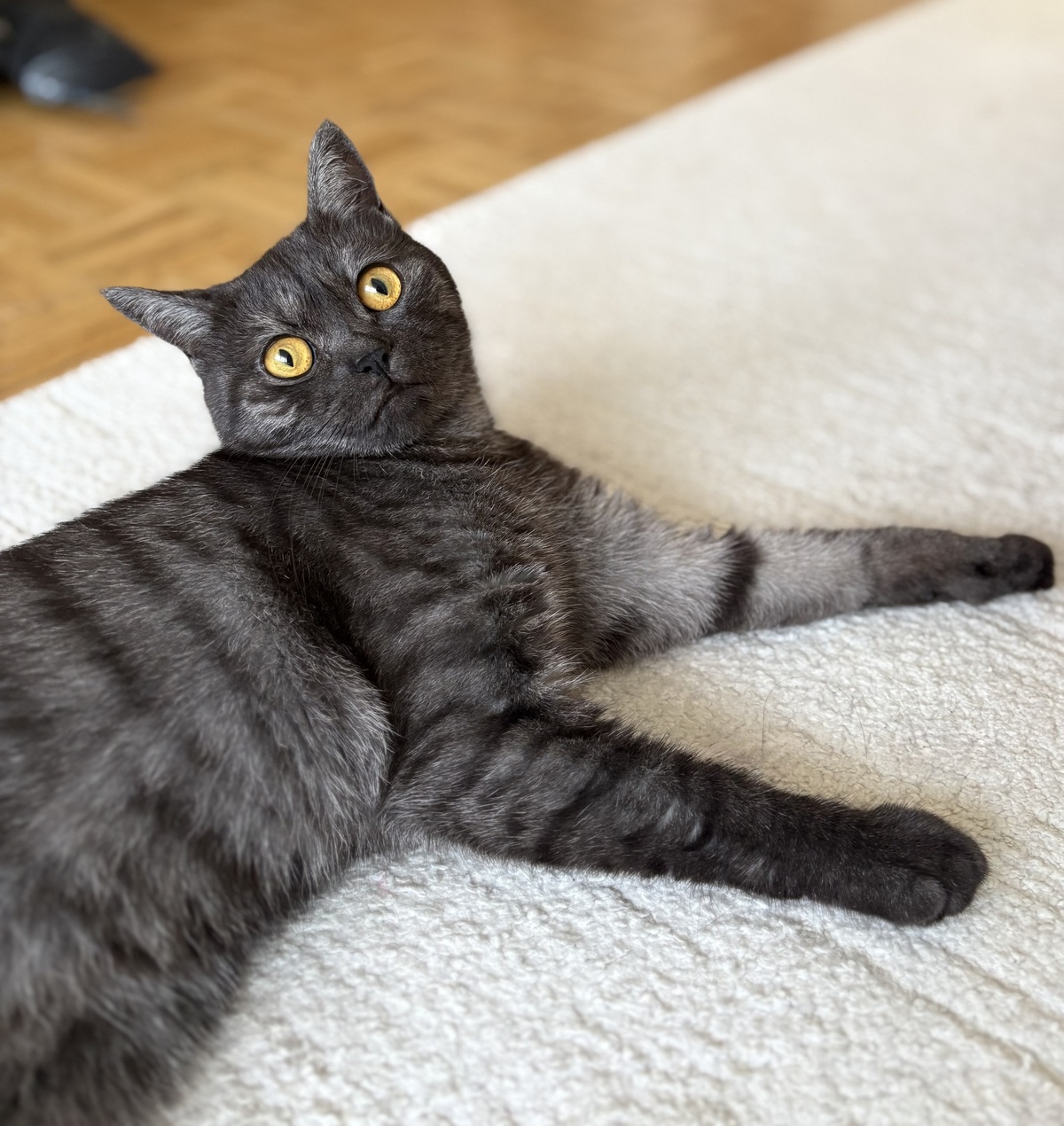 Adoption EULALIE