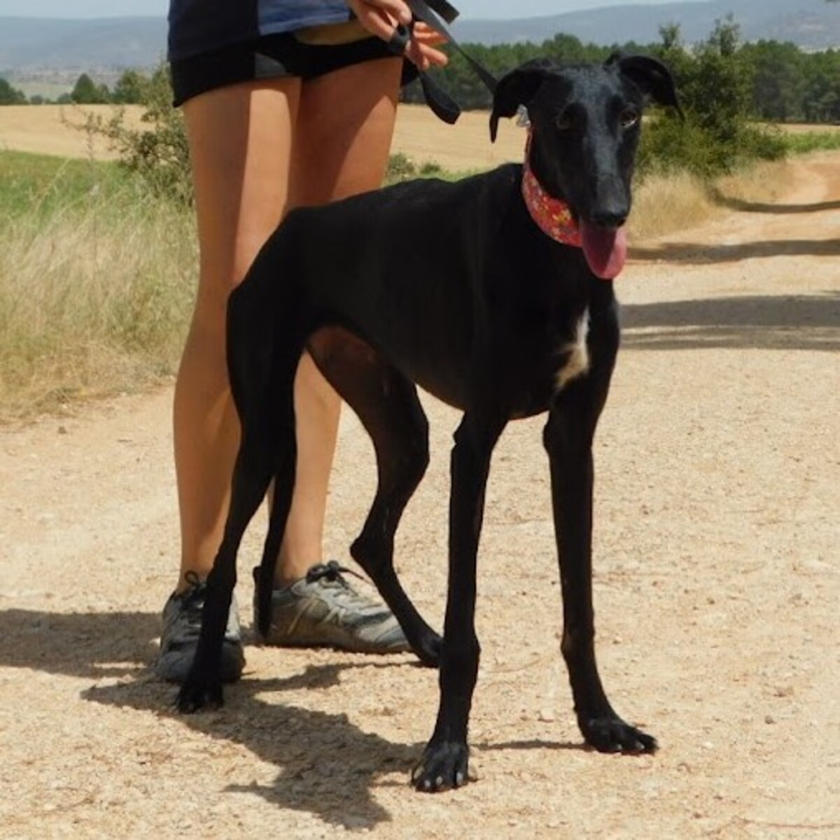 Adoption Zaniah