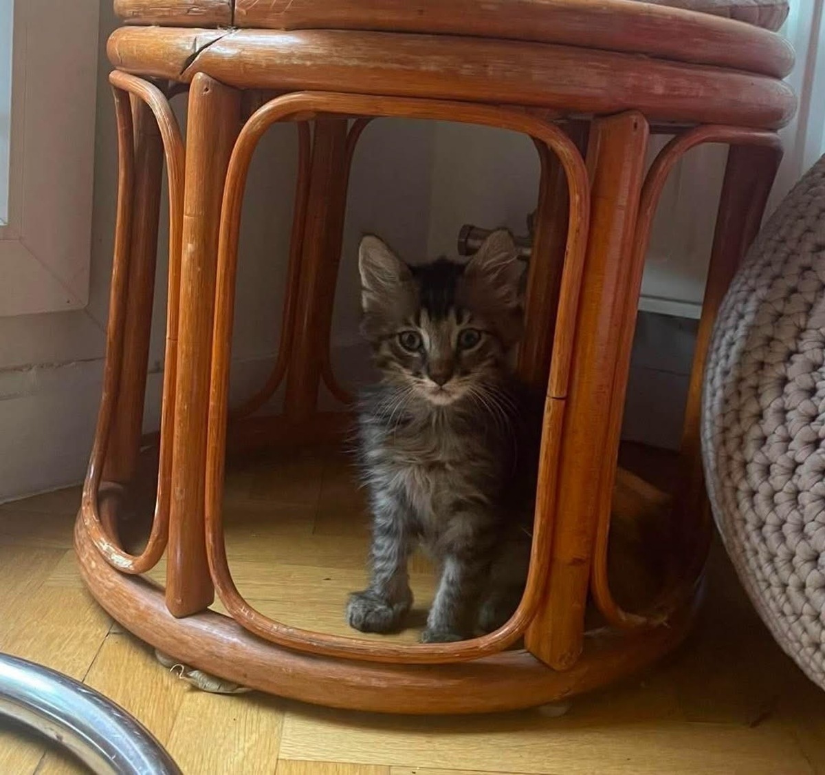 Adoption PUYU